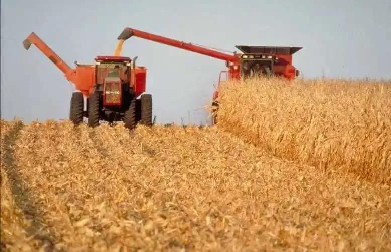 2025年12月13日，一艘装载6.5万吨阿根廷小麦的货轮从该国圣菲省廷布埃斯港