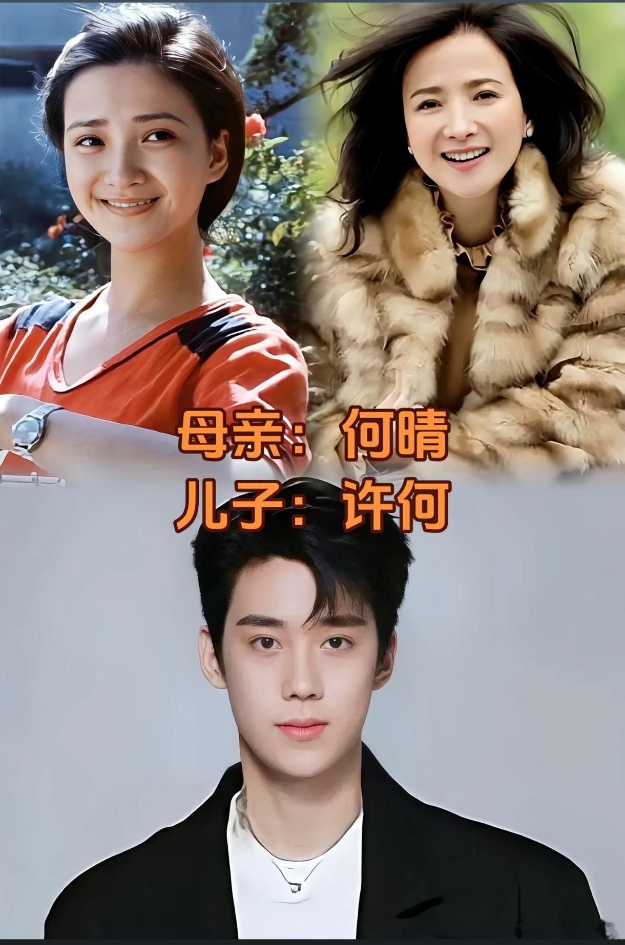 何晴 包惜弱何晴的儿子许何好帅，颜值继承父母的所有优点，名字也是许亚军和何晴的姓