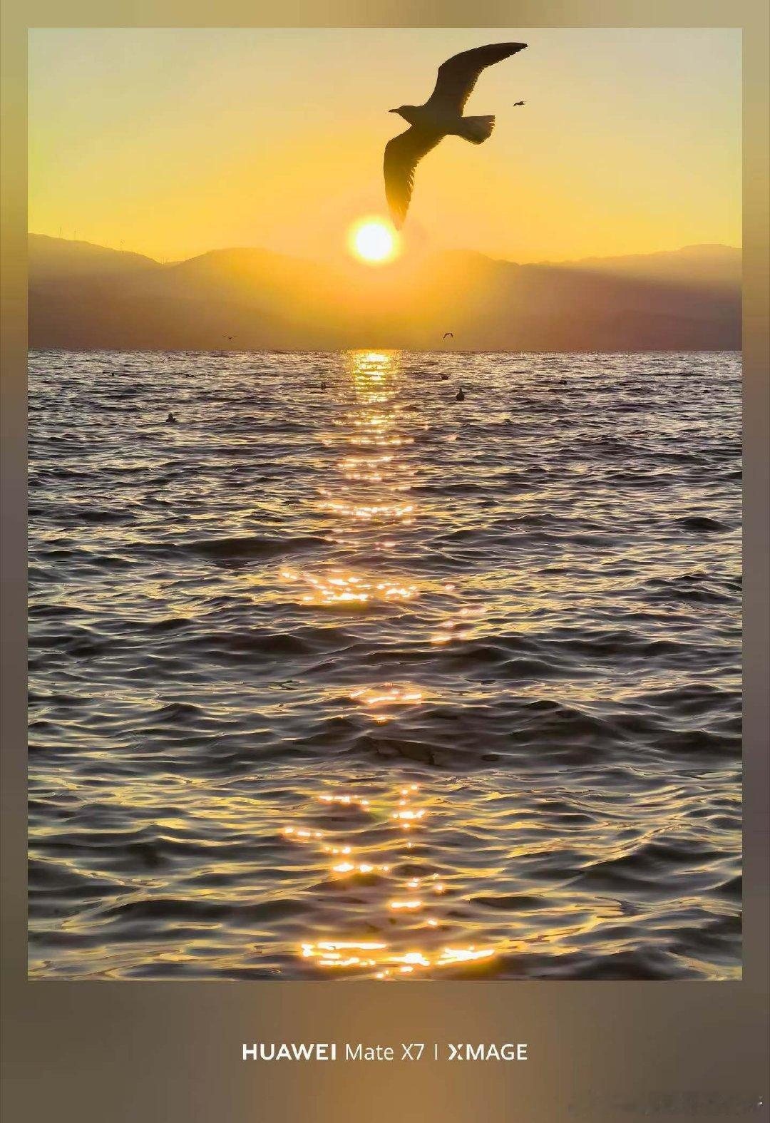 趋势向上逻辑在线+趋势向上+低位敢买+增利控损+待实而动 你别总盯着你手里有什么