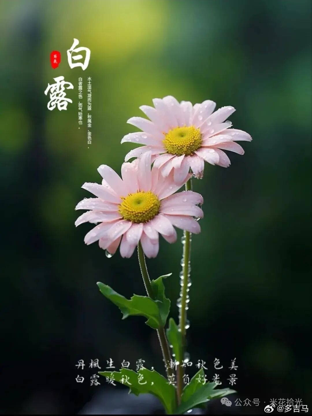 相爱着的人又是往往的爱闹意见，反而是漠不相干的人能够互相容忍。         