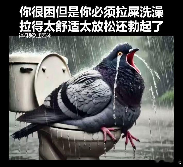 明天你还要上班吧memes迷译图