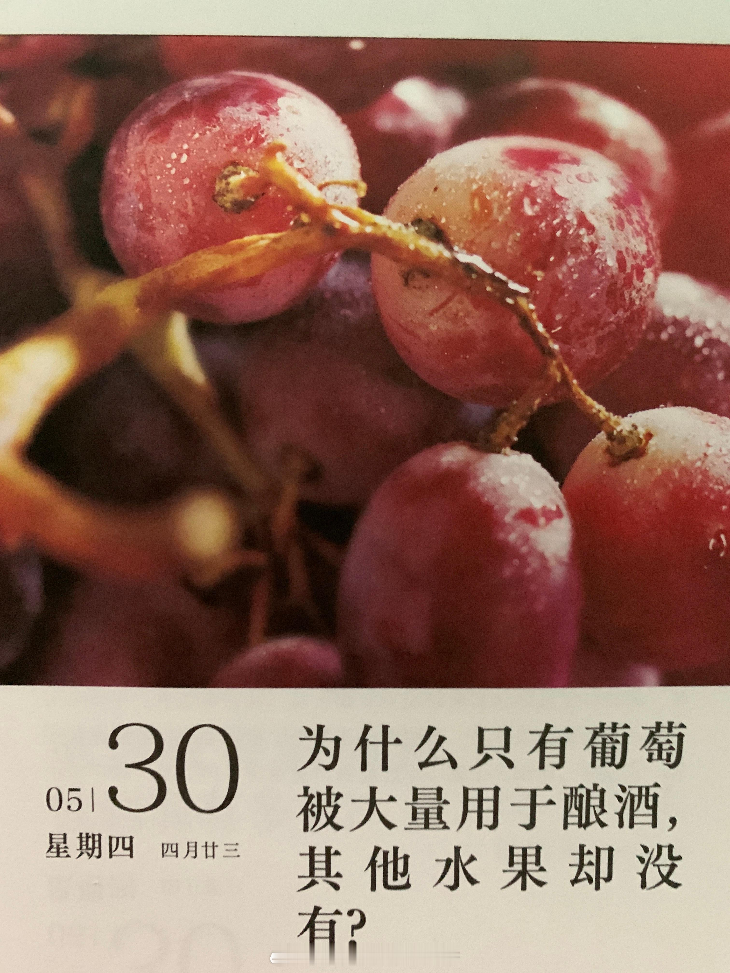 朋友们早安～ ​​​