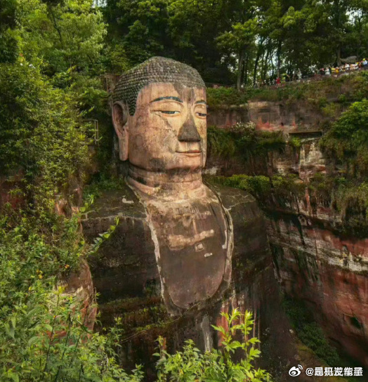 刷到乐山大佛 请不要无视 !! ​ ​​​