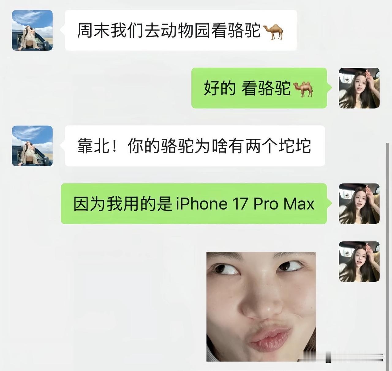 你们手机打出来的骆驼是啥样的呢？
