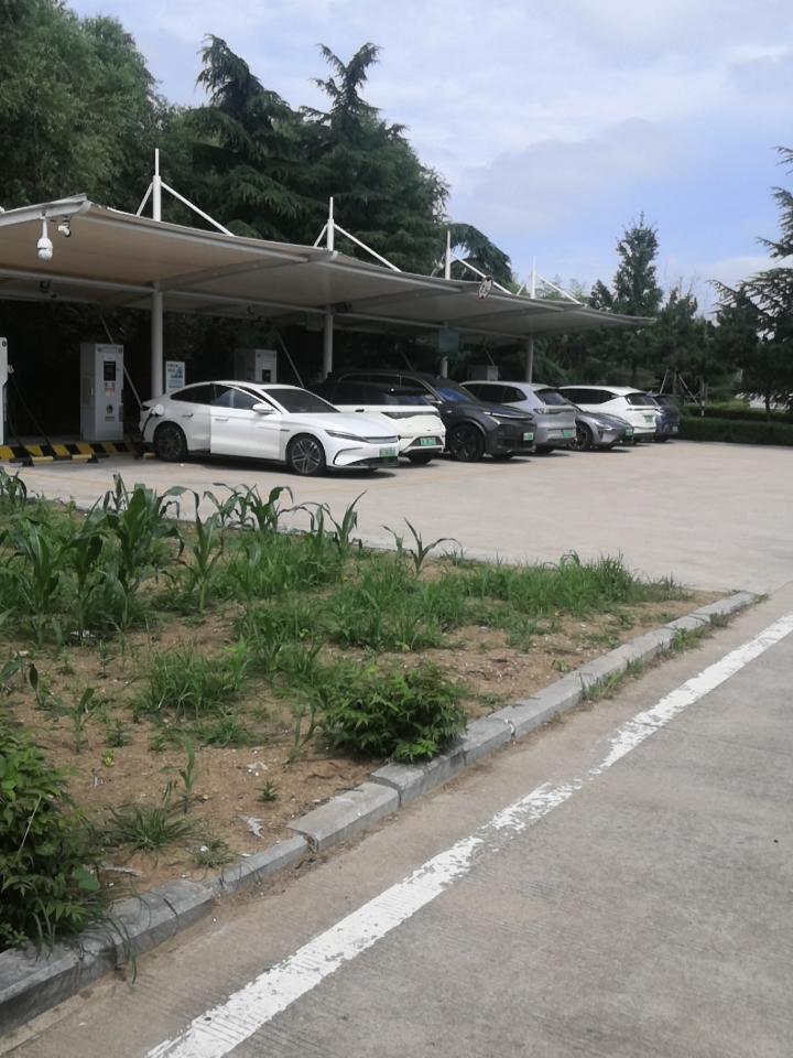 外地来山东威海玩的车辆真不少