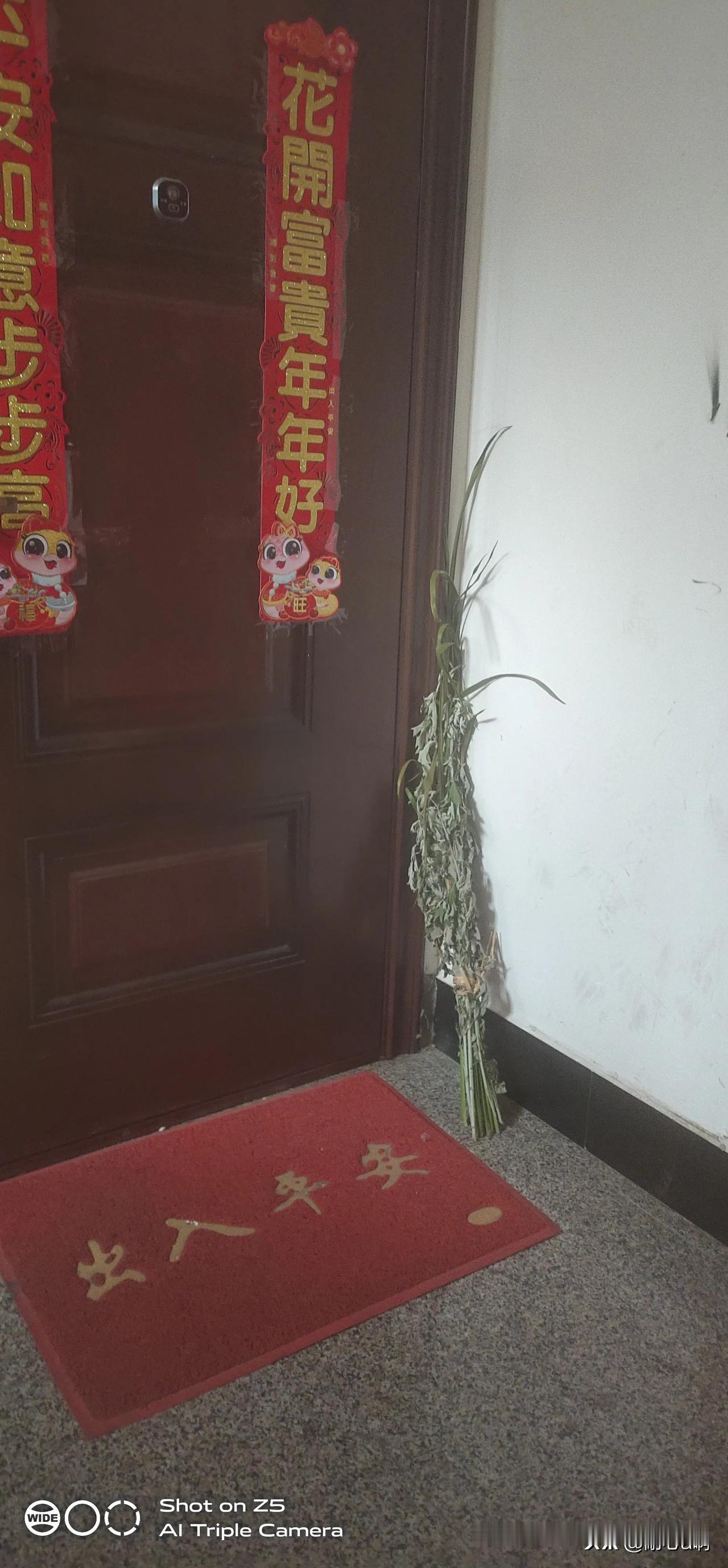 你们其他地区端午节也是这样吗，我们江苏一到端午节，每家每户门口都摆放一捆长长的青