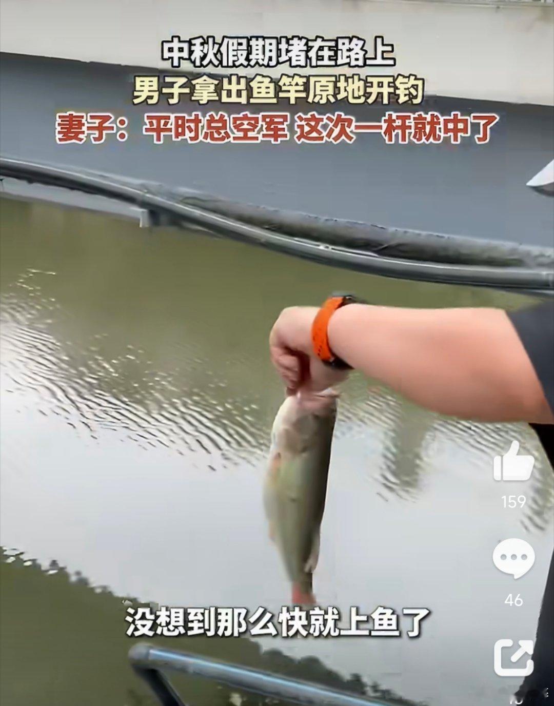 钓鱼佬遇堵车原地开钓中年人能把堵车的糟心事，转成就地甩竿的小乐趣，这份松弛感太难