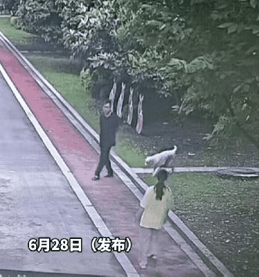 姑娘好好走着路，冷不丁冲出来一只大狗直往身上扑，围着你跳着咬，吓得捂脸直往后退都