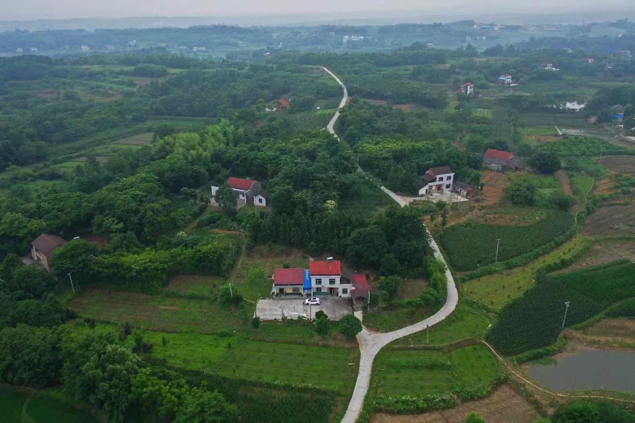 暑假回了一趟农村老家，感觉现在的农村生活虽然谈不上诗情画意，但至少是有“采菊东篱