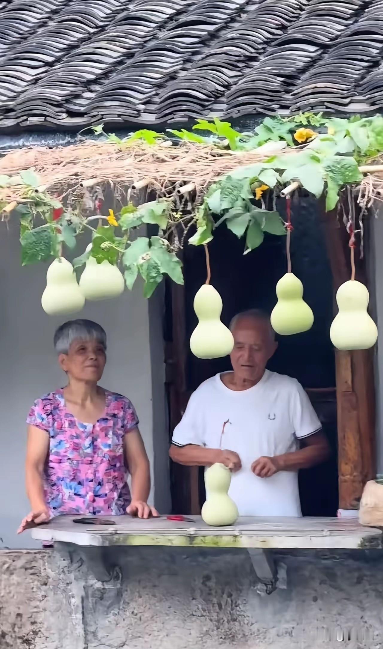 《葫芦难载人间欲》
 
老翁垂暮无人问，种得葫芦天下名。
九州网红蜂拥至，只求流