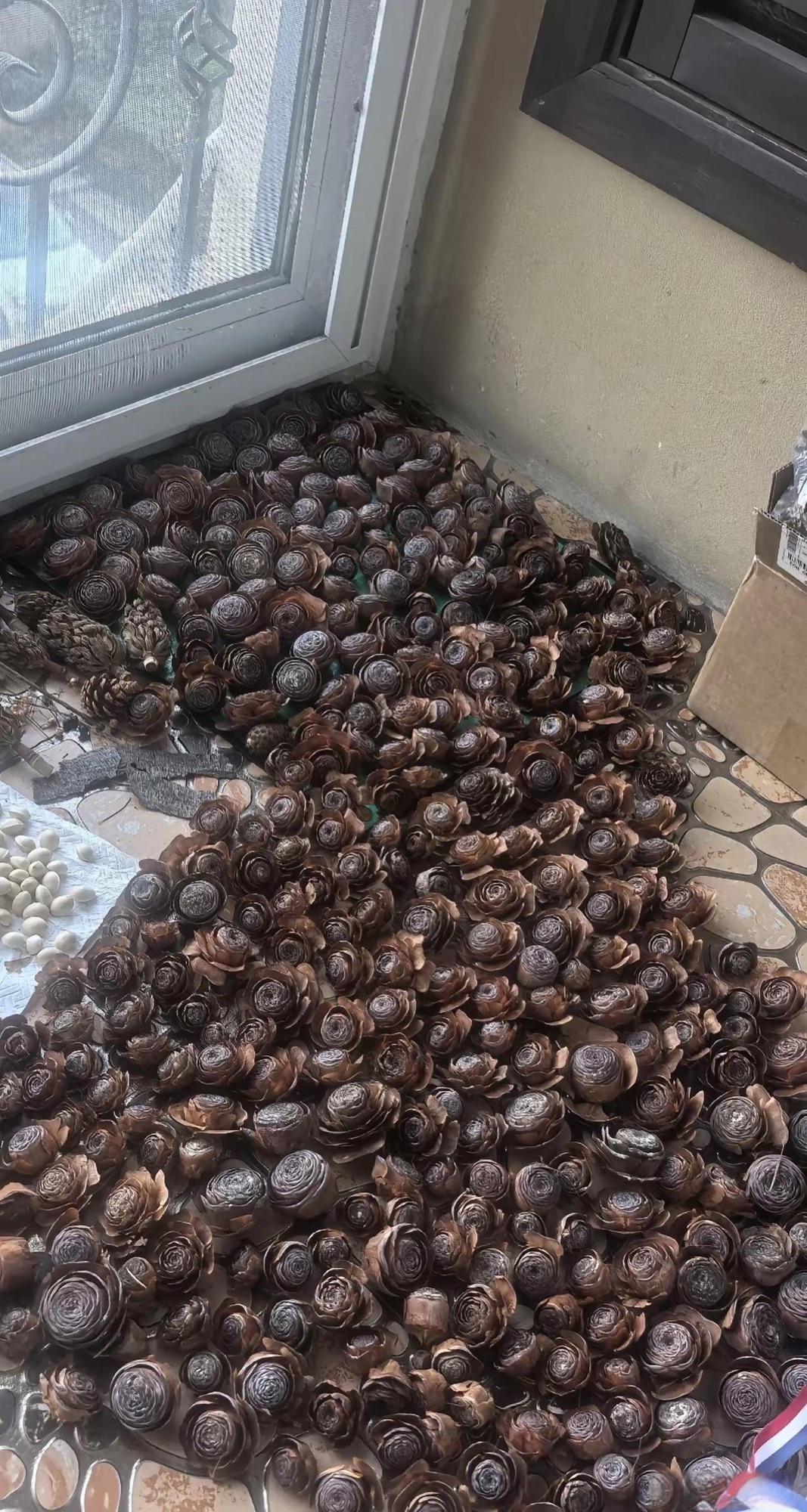 这都坏了怎么办啊