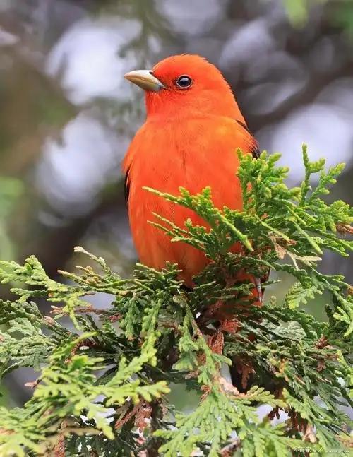 【蜗角虚名，蝇头微利，算来著甚干忙】苏轼‌《满庭芳·蜗角虚名》
‌蜗角虚名，蝇头