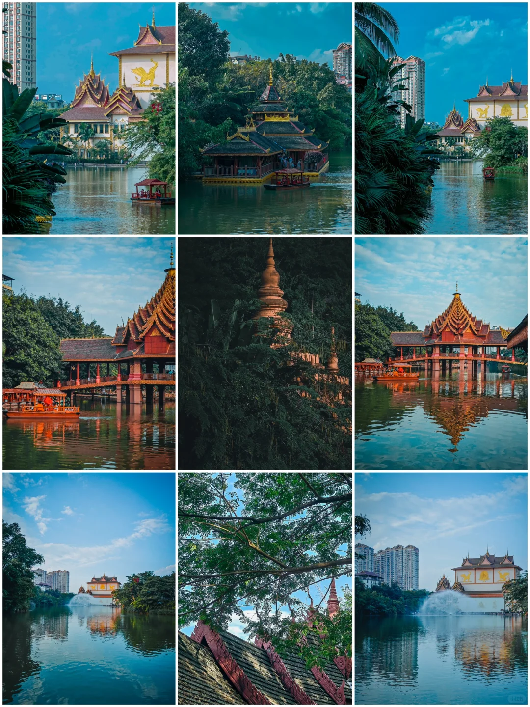 一加12旅行摄影｜走进西双版纳傣王的御花园