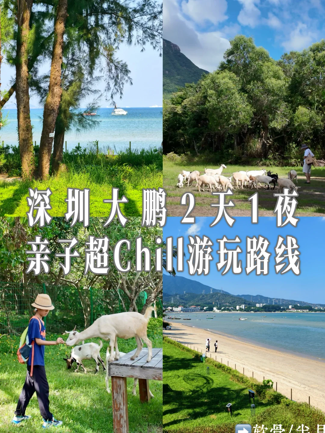 深圳海边遛娃｜请直接复制这条两天一夜路线