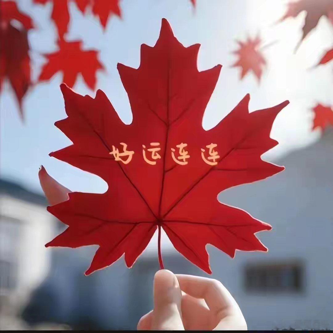 春风满，春雨落，野花藏小径，清泉石上流。斟一盏淡茶，慢品光阴，翻一页诗集，日光摇