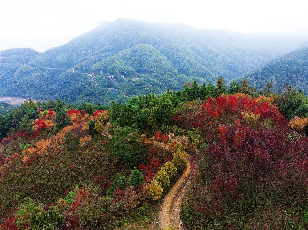 庄子《在宥》之九

 黄帝退，捐天下，筑特室，席白茅，闲居三月，复往邀之。广成子