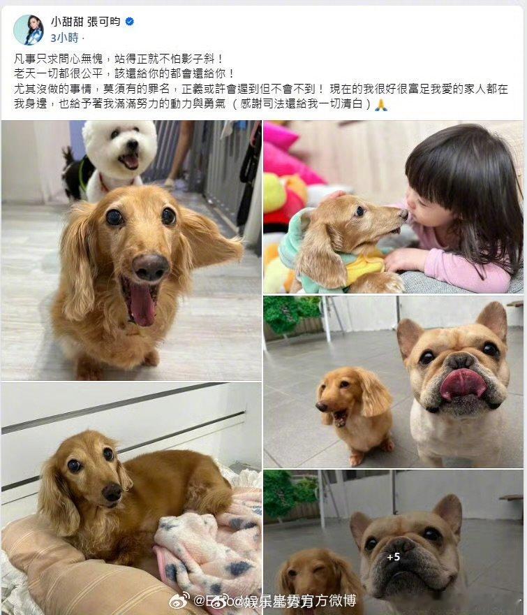 前夫起诉小甜甜被驳回  与前夫宋晋贤离婚后，她在社交平台称他为“又渣又烂的前夫”