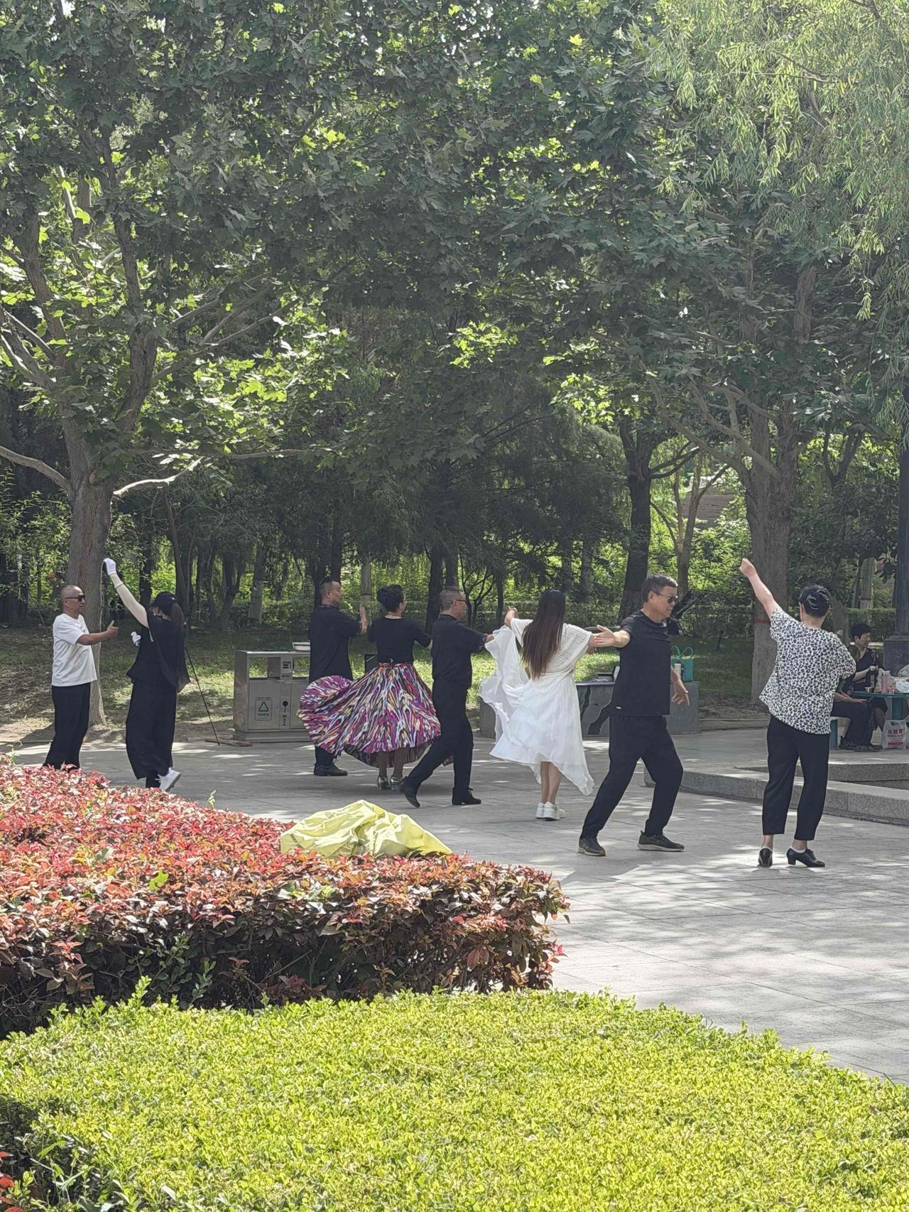 祥和的孔雀河
两岸树木葱茏，宛如一条绿色丝带镶嵌于城市之中，这便是新疆的库尔勒。