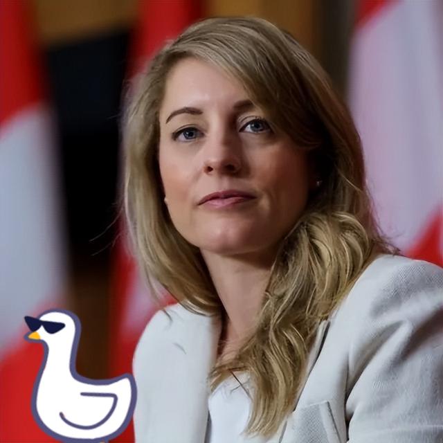 快讯
快讯
加拿大外长突然宣布
1111月13日，加拿大外长阿南德宣布对俄罗斯实