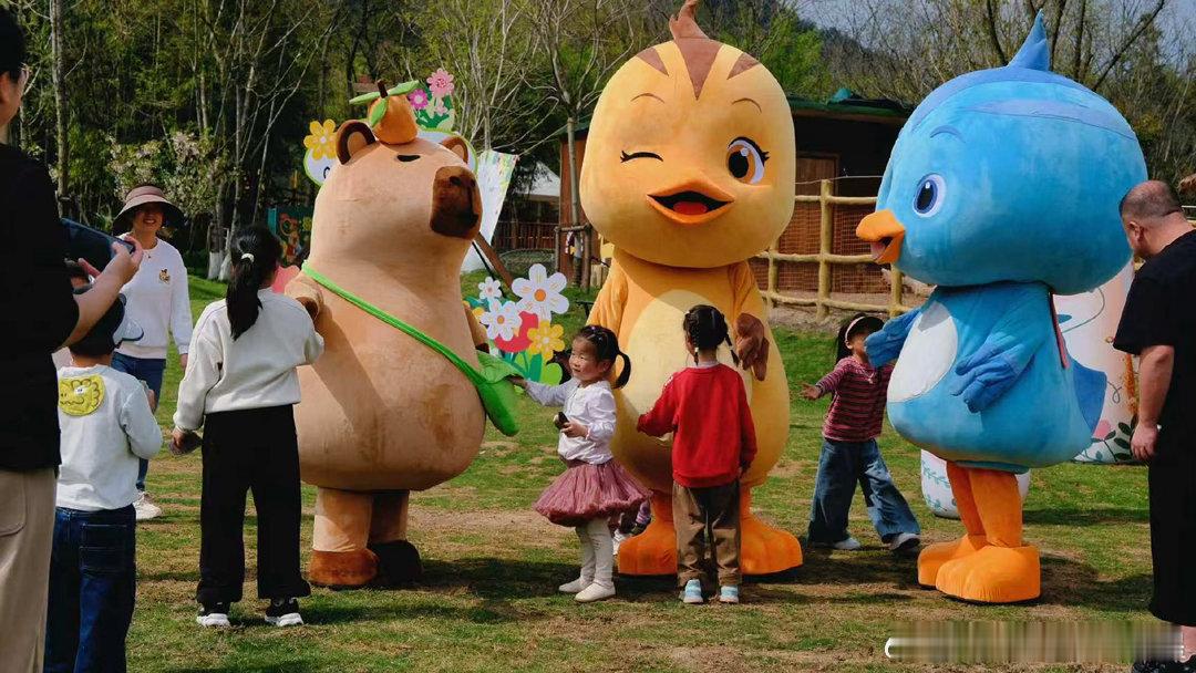 浙江版有风的地方亲子浓度超标 亲子玩法直接拉满！当一天萌宠小管家，亲手投喂软乎乎