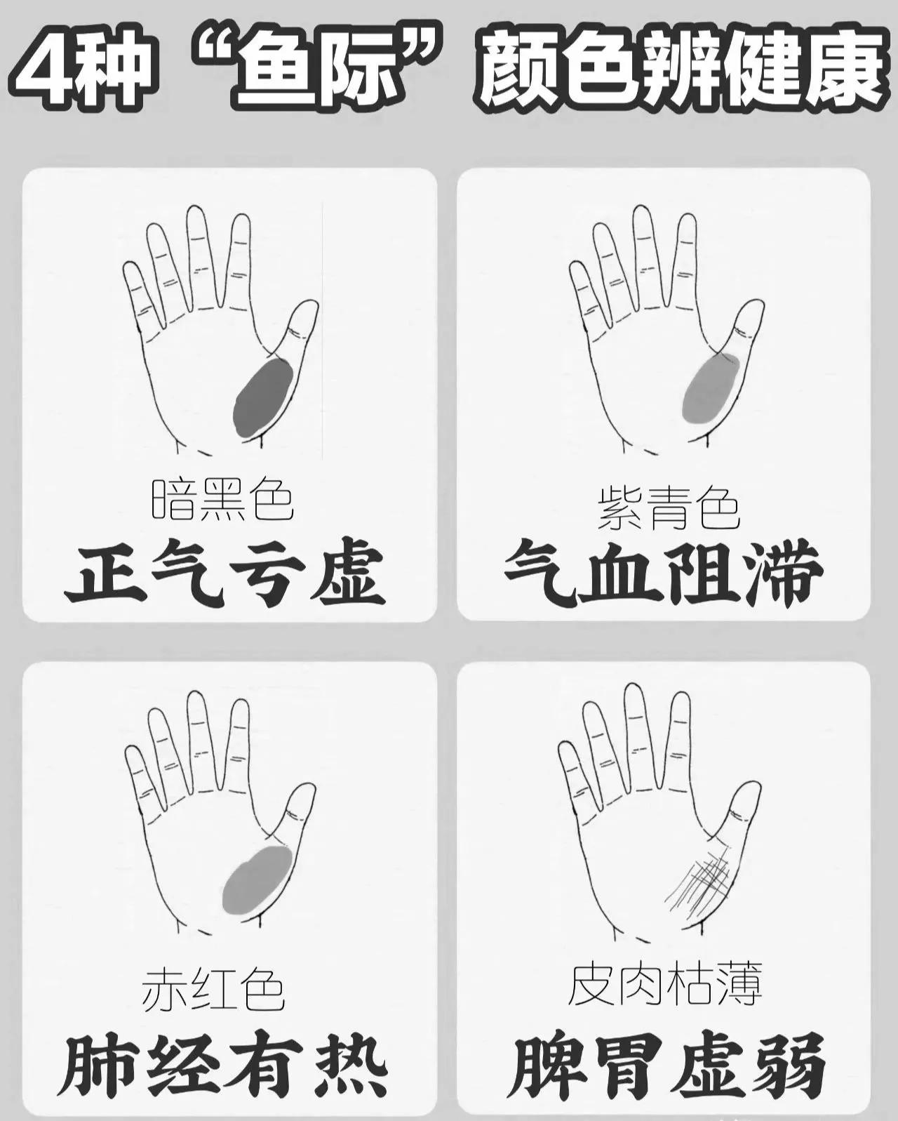 四种鱼际颜色辨健康，揭示你的身体状况

随着生活节奏的加快，人们越来越关注自己的