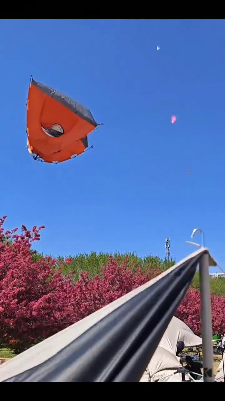 俺娘，你看看俺娘，俺娘来了海边来了，了不得，你看看俺娘，了不得了，刚厉害了。