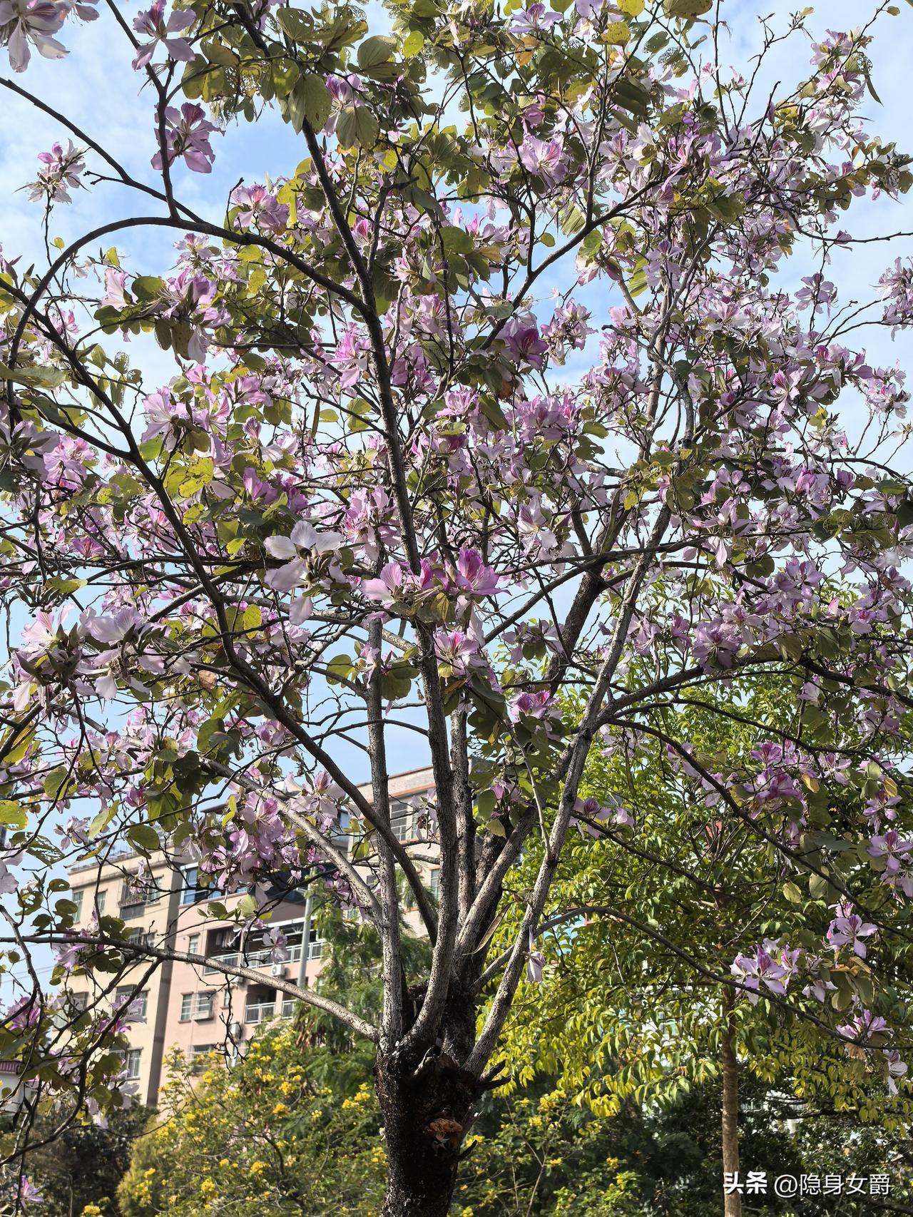 我小叔子的闺女就是个讨债的鬼，
大学毕业两年跳了三次槽，挣的钱不够自己花。

在
