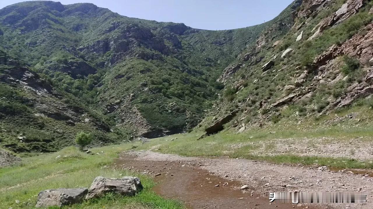 大青山里有狼吗？
🍁当然有，只是如今较为少见罢了。《土默特志》记载，解放前狼害