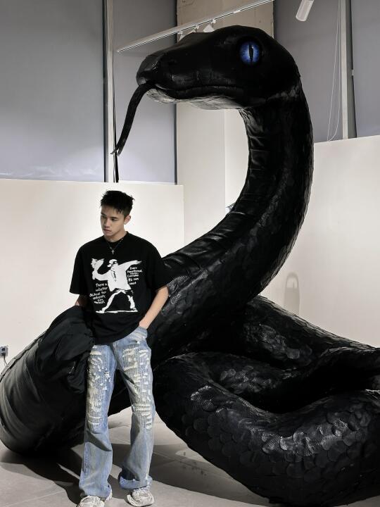 来成都看个展👀