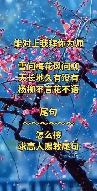 这个对联 的，你能对吗？

能对出的对联 我拜你为师

雪问梅花风问柳，
天长地