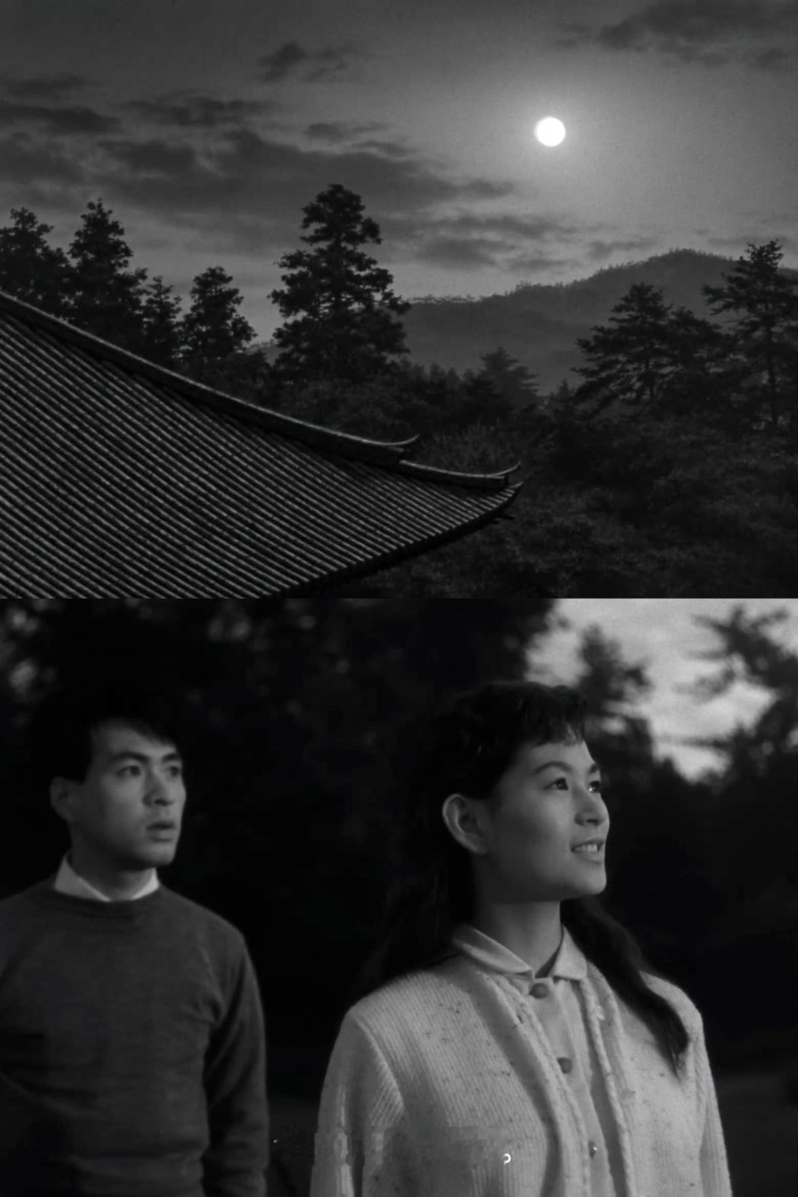 “今晚月色真美。”1955年，田中绢代《月升中天》中的一幕。中秋快乐🌕 ​​​