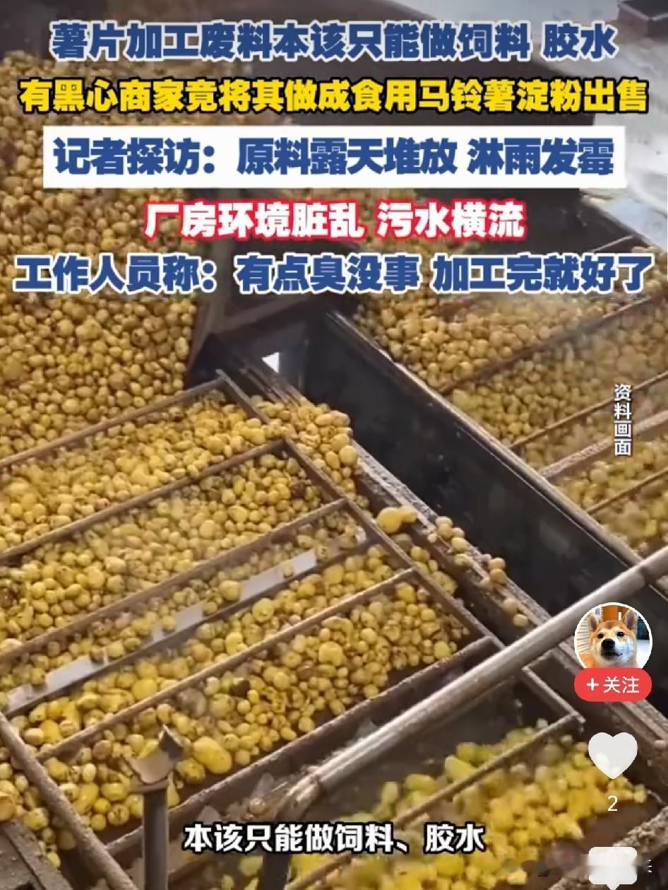 太恶心了！薯片工厂的土豆皮废渣，被做成淀粉卖给你吃，废料露天堆在污水里发酵出酸臭