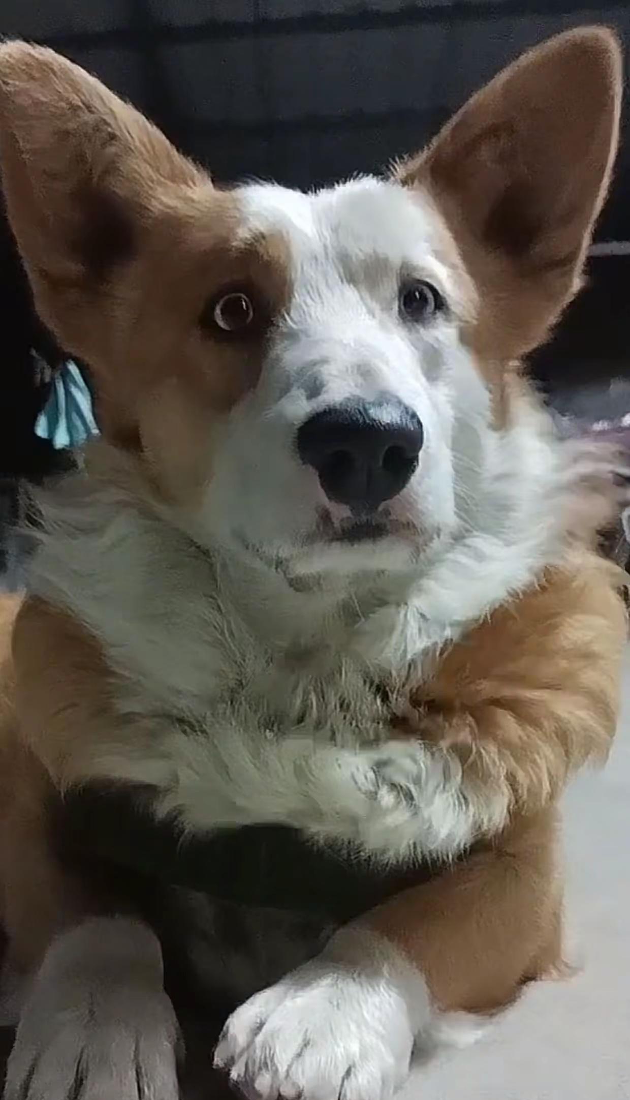 嗅嗅嗅嗅嗅嗅嗅嗅嗅嗅嗅嗅嗅嗅嗅嗅嗅嗅嗅嗅嗅嗅嗅嗅嗅嗅嗅嗅嗅嗅嗅嗅嗅嗅嗅嗅嗅嗅嗅嗅