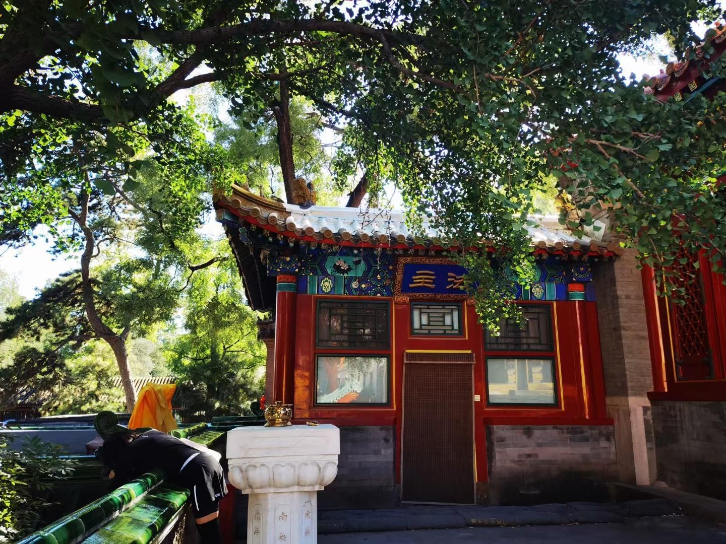 什么是佛教的开光？佛教的开光包括道教的开光其实都有画龙点睛的作用。也就是说点开佛