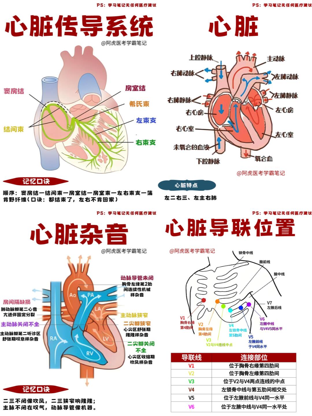 阿虎医考学霸笔记📒：心脏相关合集👆