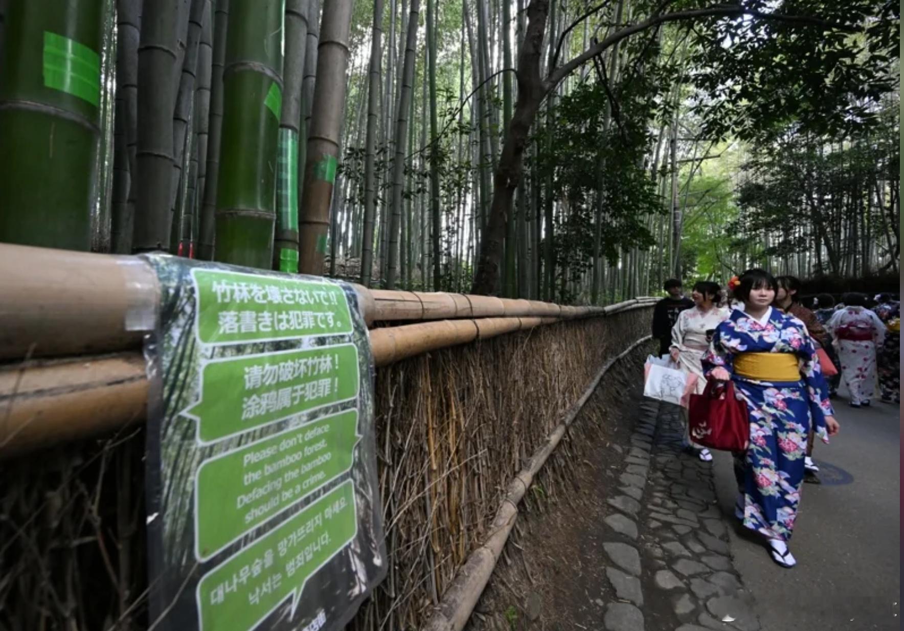 【日本拟上调出境税至3000日元以上，以抑制“观光公害”】 为筹措治理“观光公害