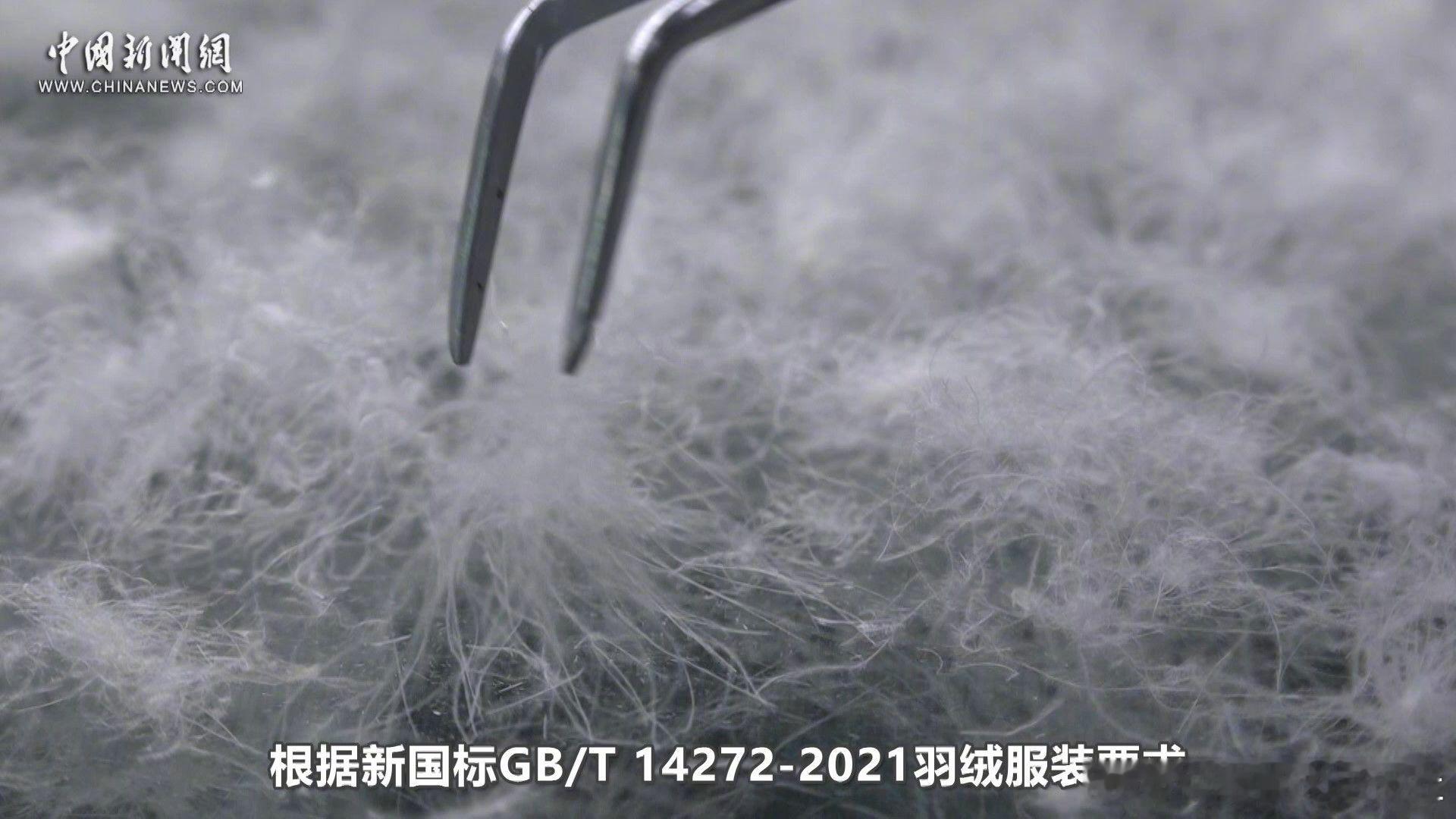 【 波司登真的在用心做羽绒服 】每年一到冬天，防寒又保暖的羽绒服就成了必备单品。