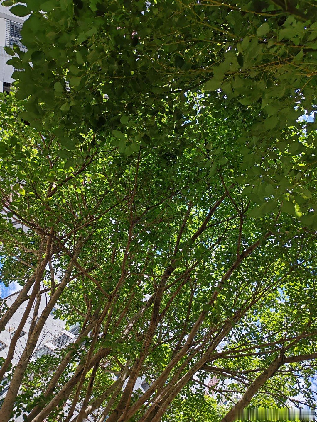 阳光，并不是触手可及。 