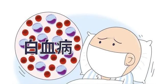 白血病不再是不治之症。
前不久，12岁的白血病患者小远走出骨髓移植仓的那一刻，对