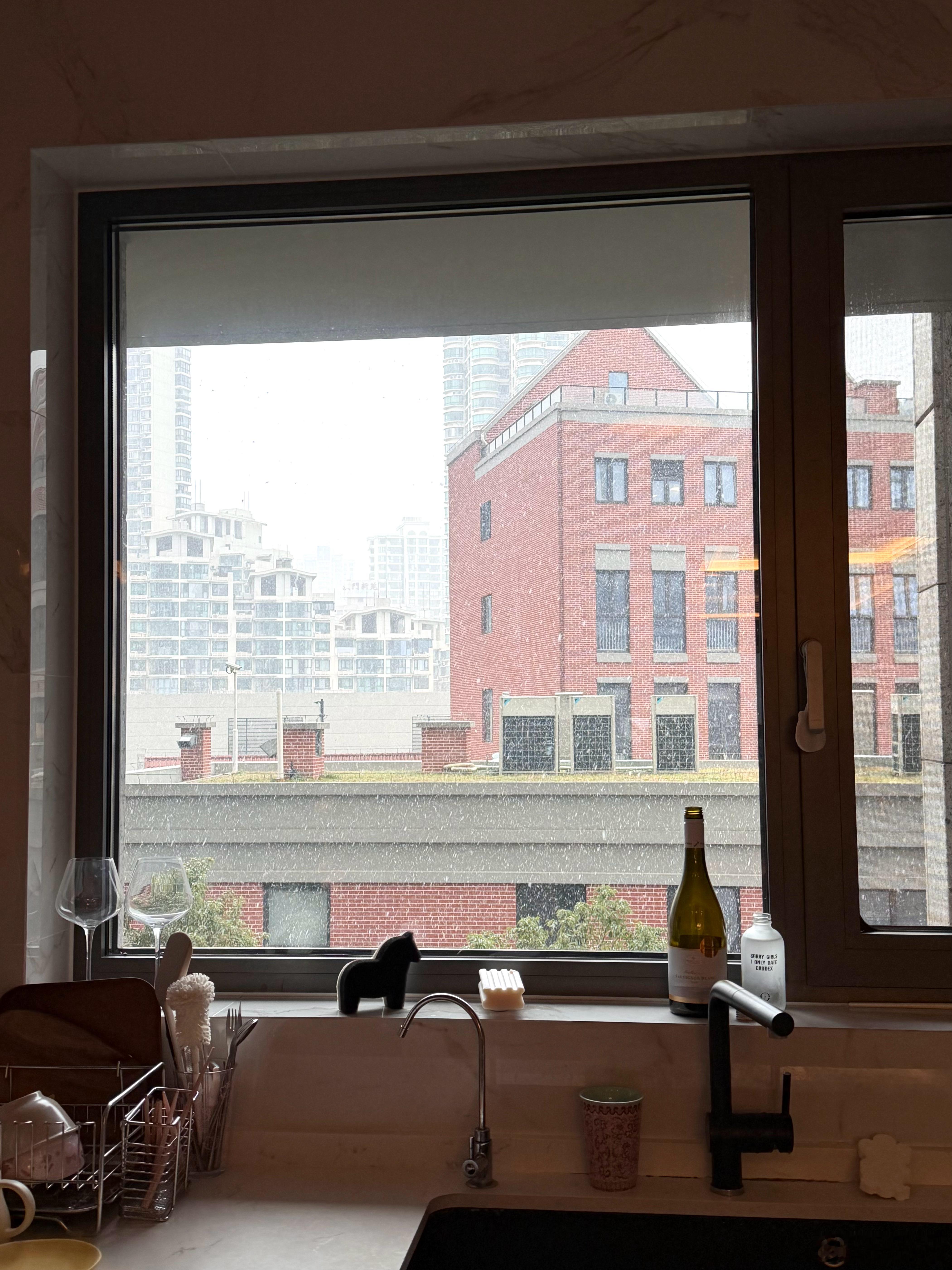 仓鼠人日常🧩🐹我养的菠萝 在地暖的供给下在寒冷的上海抽芽了🫰 