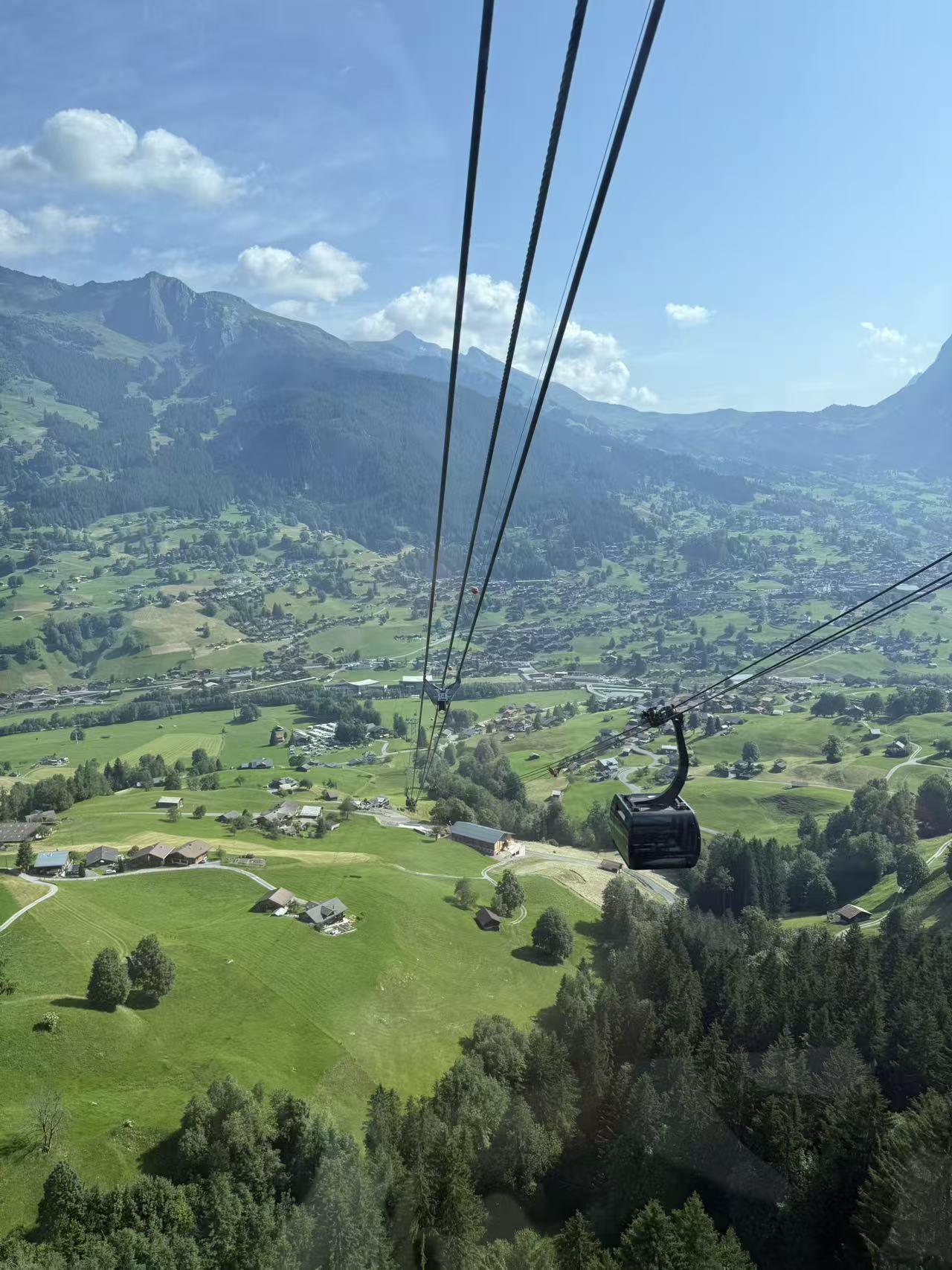 昨天晚上和儿子去了一Longos超市，以前都是去沃尔玛、Costco。Longo