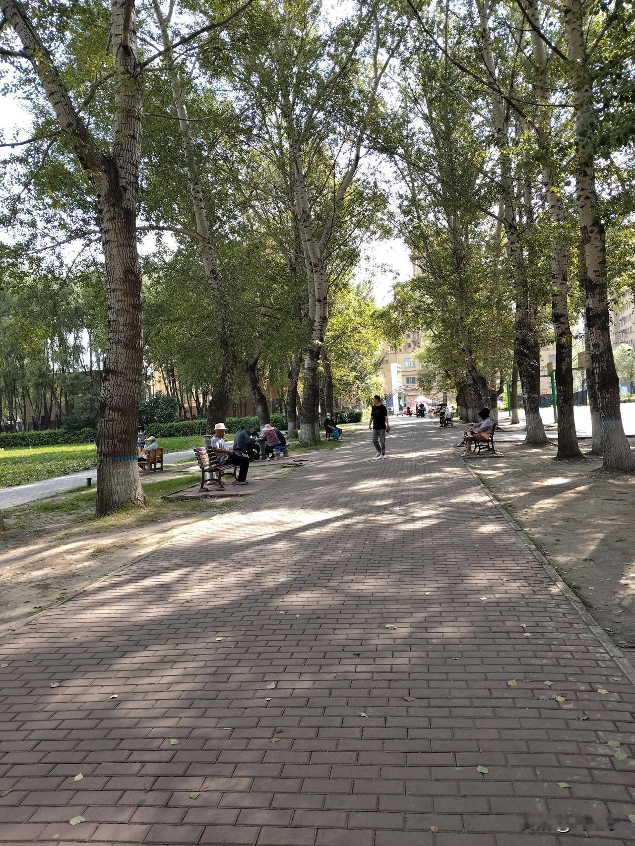 我所在的城市是黑龙江省肇东市。
   入秋之后，尽管气温有所下降。但天气还是显得
