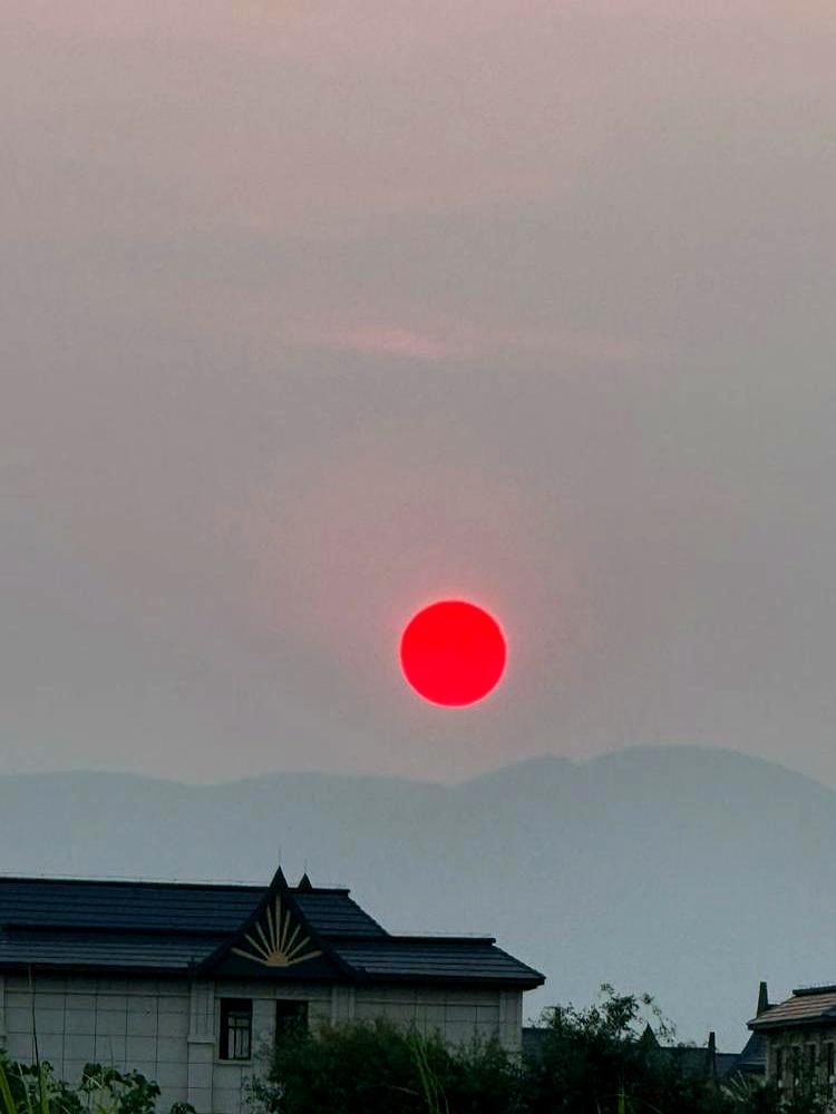 原来真本事，都是从仇人身上学来的！
 

《知否》里，林噙霜靠着扮柔弱、哄男人，