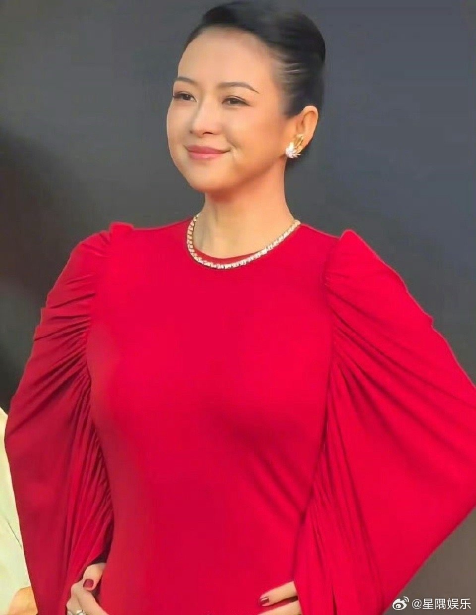 章子怡脸肿的像蜜蜂小狗了 