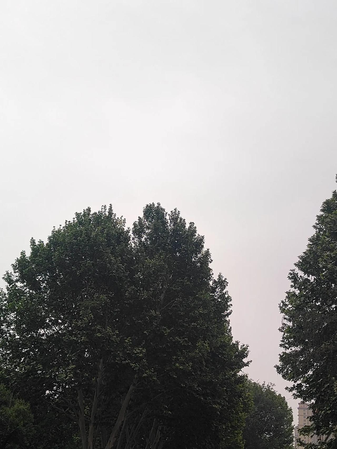 雨落邢州，思绪漫溯
 
清晨推开窗，湿润的风裹挟着泥土的芬芳扑面而来，昨夜那场淅