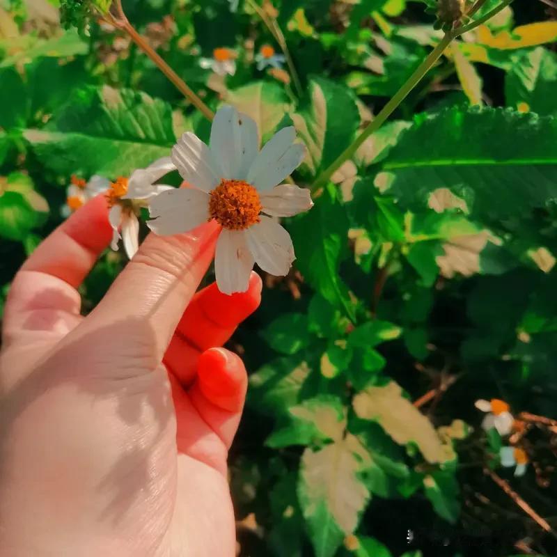 发现对象出轨，有时候就藏在一些容易被忽略的细节里。有网友发现对象突然换头像，以前
