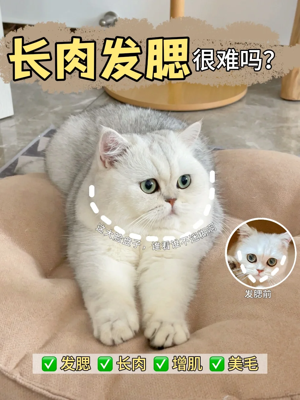 长肉YES虚胖NO，吃对真的很重要‼️