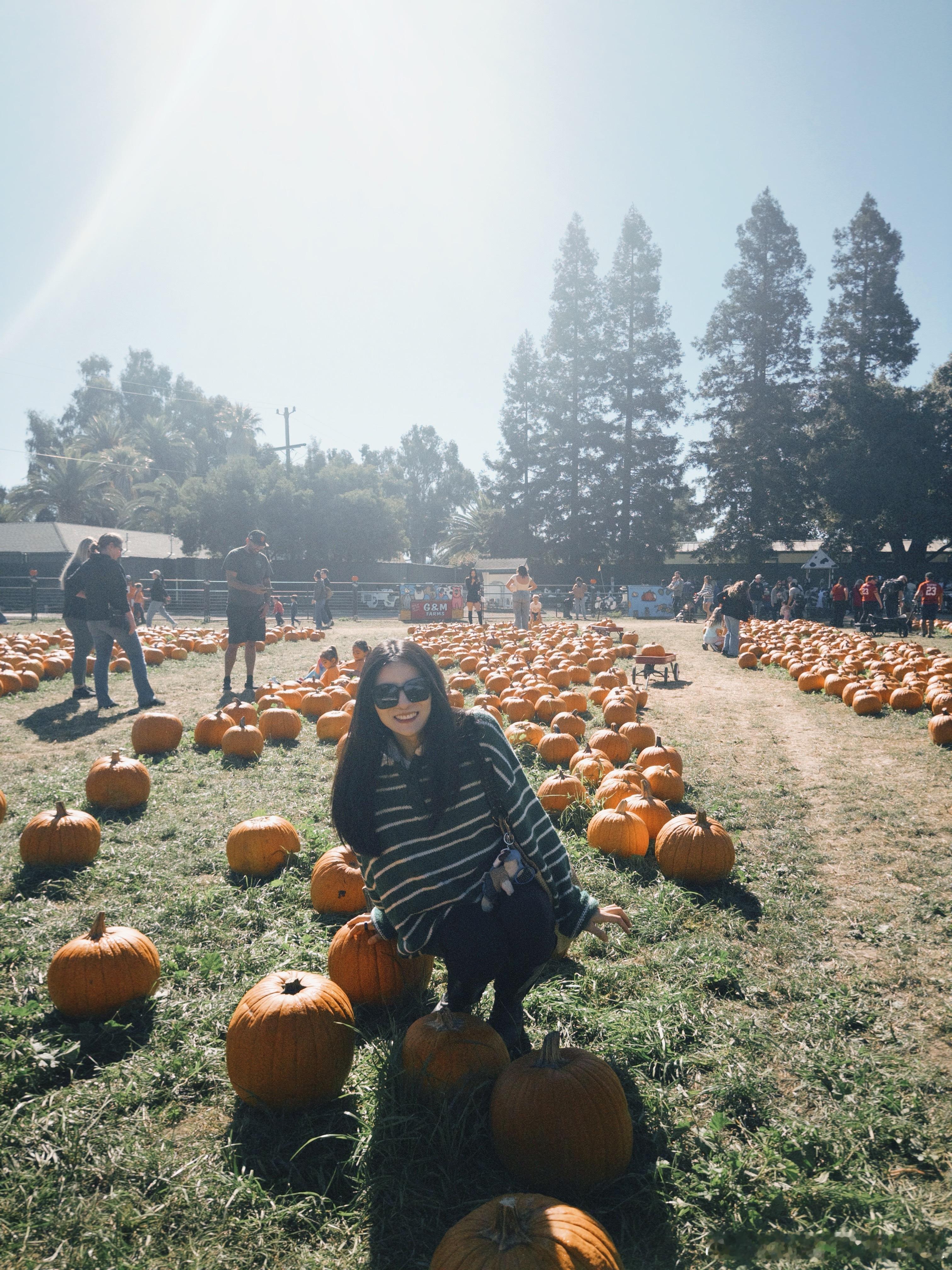 pumpkin patch🎃崽玩到飞起[doge] ​​​