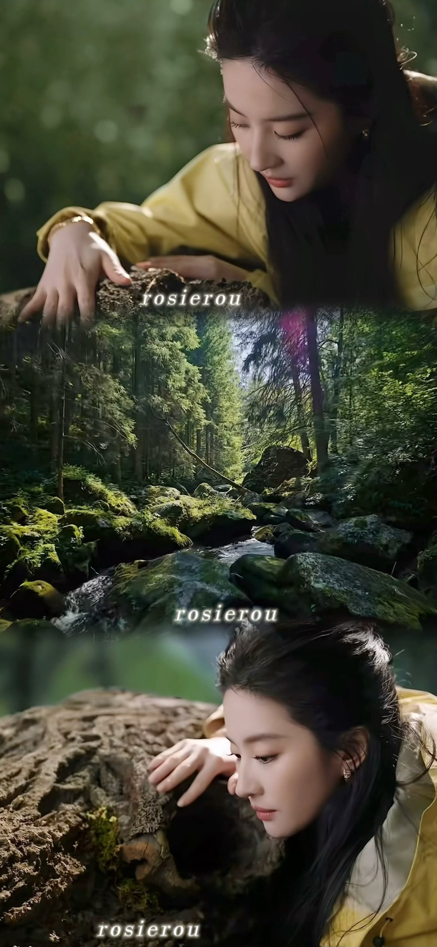 熊猫全球品牌代言人刘亦菲  代言合作上新啦！我已为送心成功，快来星品影响力 推荐