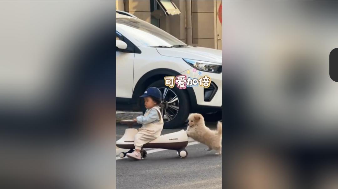 真的太暖心了！乖巧的小狗居然听得懂话，主动在后面帮小主人推着小车往前走。
 
近